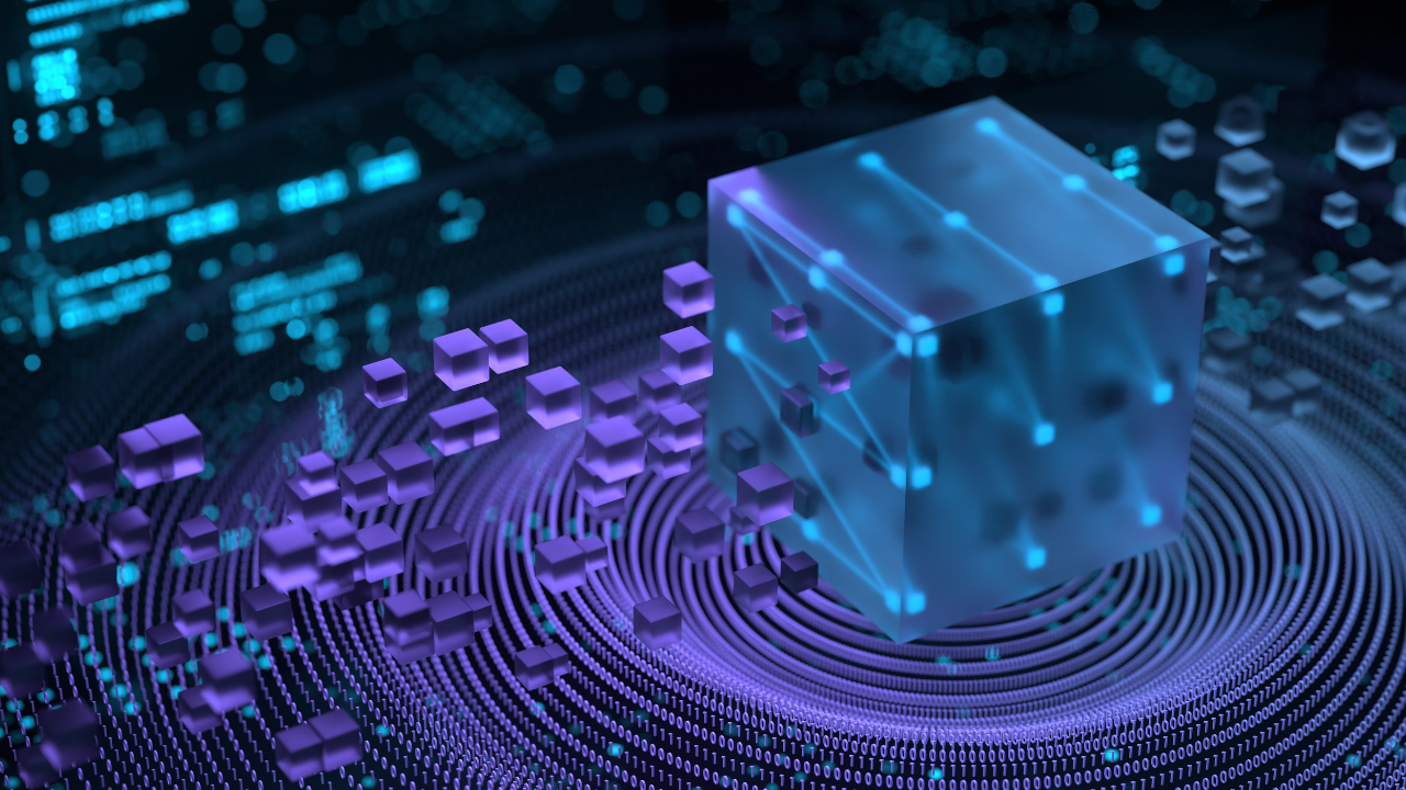 NLS Data Migration Staff Augmentation – Case Study